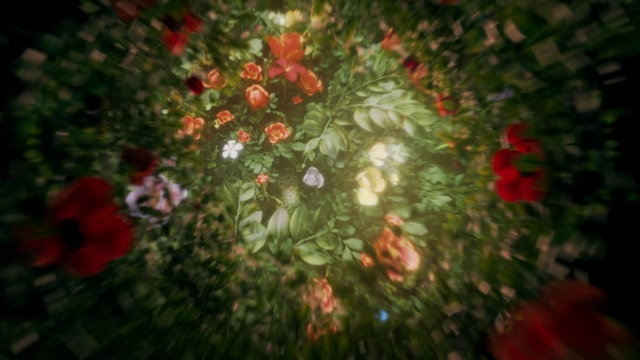 Video Reference: Flower, Plant, Petal, Vegetation, Grass, Tree, Terrestrial plant, Tints and shades, Natural landscape, People in nature