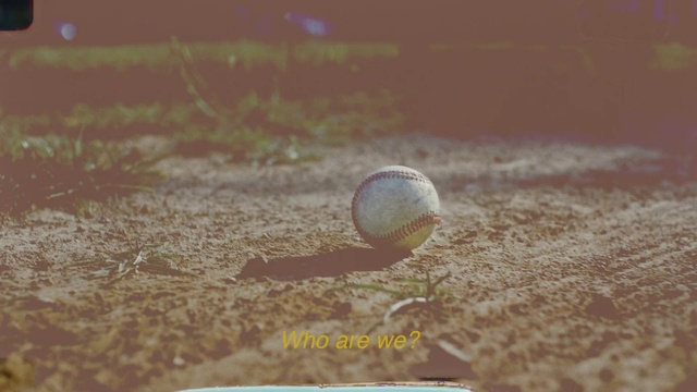 Video Reference: Sports equipment, Golf ball, Ball, Golf equipment, Grass, Flooring, Wood, Ball game, Landscape, Soccer ball