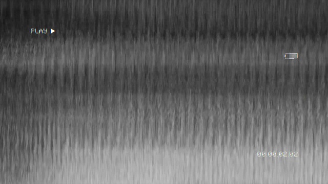 Video Reference: Grey, Rectangle, Automotive tire, Font, Wood, Grass, Parallel, Grass family, Pattern, Symmetry