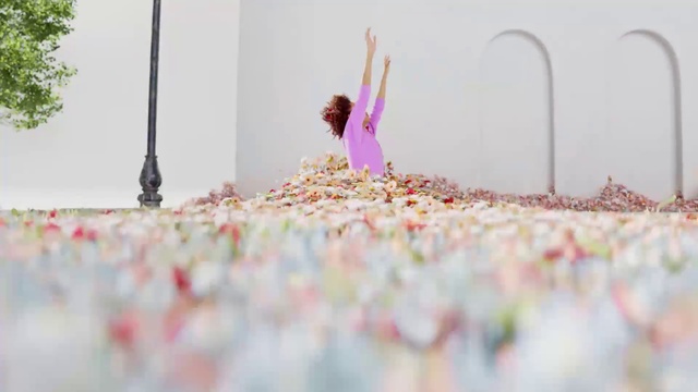 Video Reference: Flash photography, Sky, Pink, People in nature, Happy, Petal, Grass, Magenta, Leisure, Event