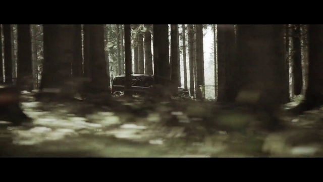 Video Reference: Atmosphere, Plant, Wood, Branch, Flash photography, Trunk, Tree, Atmospheric phenomenon, Natural landscape, Terrestrial plant