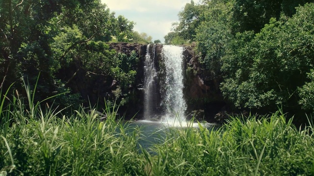 Video Reference: Water, Plant, Plant community, Sky, Natural environment, Natural landscape, Cloud, Waterfall, Tree, Vegetation