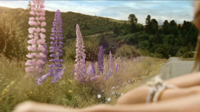 Video Reference: Flower, Plant, Sky, Cloud, Grass, Terrestrial plant, Flowering plant, Tree, Petal, Landscape