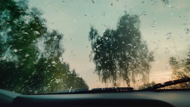 Video Reference: Sky, Cloud, Plant, Water, Automotive lighting, Hood, Automotive mirror, Motor vehicle, Natural environment, Car