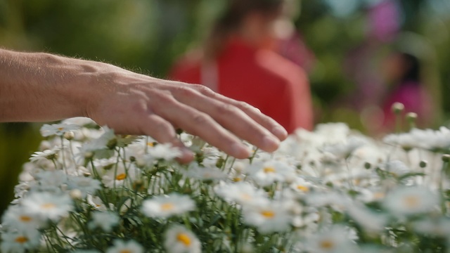 Video Reference: Flower, Plant, Hand, Petal, People in nature, Gesture, Grass, Wedding dress, Happy, Groundcover