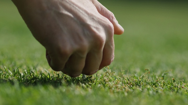 Video Reference: Plant, People in nature, Human body, Gesture, Finger, Grass, Grassland, Nail, Thumb, Groundcover