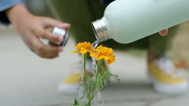 Video Reference: Flower, Plant, Bottle, Petal, Finger, Plastic bottle, Nail, Grass, Flowering plant, Annual plant