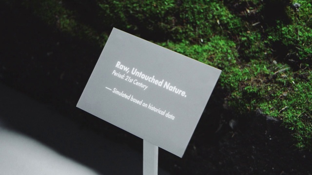 Video Reference: Plant, Rectangle, Font, Terrestrial plant, Grass, Event, Poster, Signage, Wood, Magenta