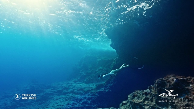 Video Reference: Water, Azure, Underwater, Fluid, Organism, Body of water, Marine biology, Electric blue, Reef, Wind wave