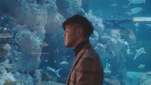 Video Reference: Water, World, Azure, Natural environment, Organism, Underwater, Marine biology, Aqua, Electric blue, Leisure