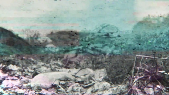 Video Reference: Sky, Grass, Cloud, Wood, Natural material, Pollution, Soil, Bedrock, Event, Landscape