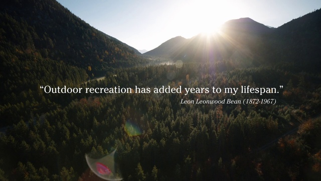 Video Reference: Ecoregion, Sky, Light, Mountain, Natural landscape, Natural environment, Plant, Highland, Vegetation, Sunlight