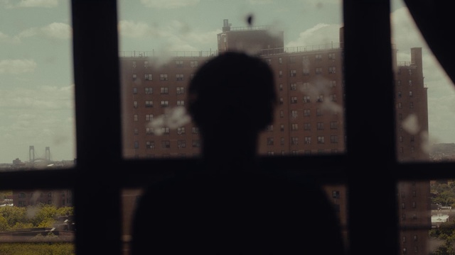 Video Reference: Sky, Window, Cloud, Plant, Tints and shades, Tree, Darkness, City, Backlighting, Glass