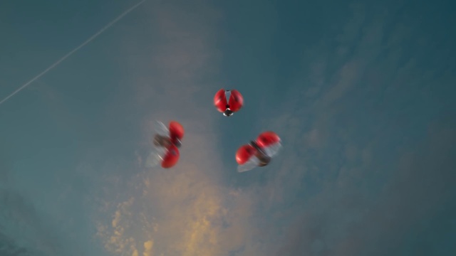 Video Reference: Cloud, Sky, Parachute, Parachuting, Air travel, Windsports, Wind, Air sports, Recreation, Sports