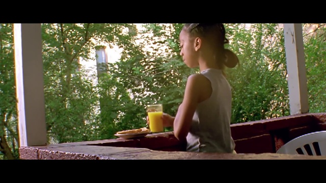 Video Reference: Window, Plant, Tree, Tableware, Dress, Sunlight, Hat, Wood, Tints and shades, Leisure