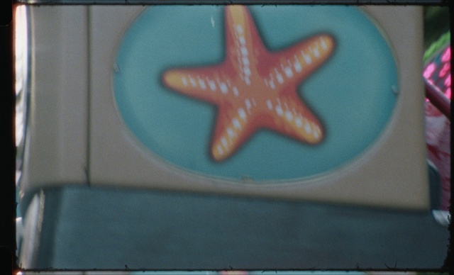 Video Reference: Azure, Marine invertebrates, Aqua, Font, Electric blue, Starfish, Carmine, Pattern, Vehicle door, Automotive lighting