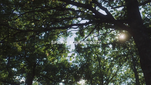 Video Reference: Natural landscape, Trunk, Tree, Twig, Deciduous, Terrestrial plant, People in nature, Tints and shades, Grass, Plant