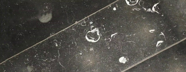 Video Reference: Road surface, Asphalt, Grey, Astronomical object, Circle, Tar, Space, Font, Science, Soil