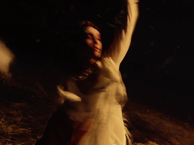 Video Reference: Flash photography, People in nature, Gesture, Dress, Wood, Happy, Art, Chest, Feather, Trunk