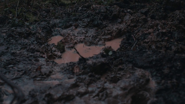 Video Reference: Water, Bedrock, Wood, Road surface, Asphalt, Volcanic rock, Landscape, Grass, Soil, Darkness