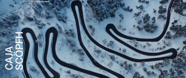 Video Reference: Snow, Organism, Automotive tire, Font, Art, Line, Tints and shades, Freezing, Graffiti, Pattern