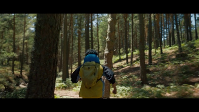 Video Reference: Plant, People in nature, Tree, Natural landscape, Wood, Terrestrial plant, Grass, Trunk, Hat, Landscape