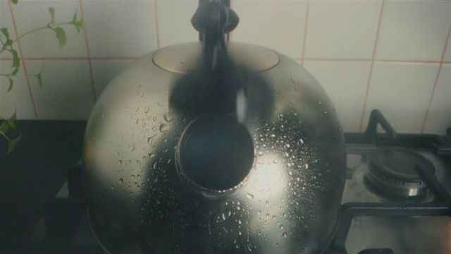 Video Reference: Liquid, Fluid, Plant, Art, Gas, Tints and shades, Circle, Serveware, Symmetry, Glass