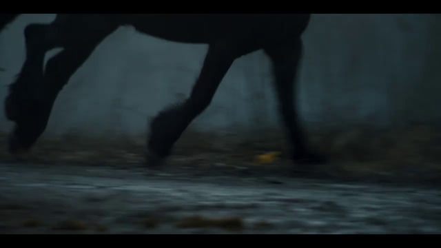 Video Reference: Atmosphere, Window, Tree, Plant, Fawn, Art, Wood, Tints and shades, Tail, Human leg