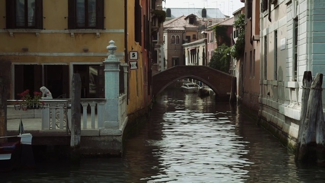 Video Reference: Water, Building, Window, Watercourse, City, Waterway, Canal, Plant, Lake, Street