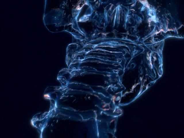 Video Reference: Water, Organism, Font, Art, Gas, Electric blue, Smoke, Darkness, Science, Brain