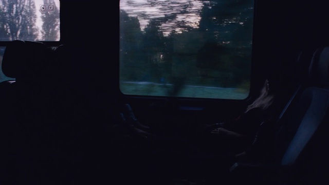 Video Reference: Window, Water, Automotive lighting, Plant, Tints and shades, Tree, Windshield, Glass, Vehicle door, Midnight