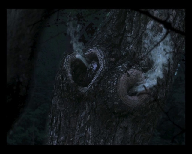 Video Reference: Flash photography, Wood, Font, Art, Pattern, Monochrome photography, Visual arts, Artifact, Circle, Darkness