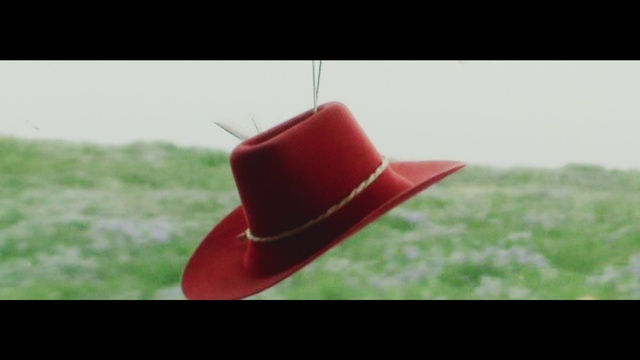 Video Reference: Plant, Hat, Terrestrial plant, Petal, Tints and shades, Cap, Grass, Fashion accessory, Carmine, Magenta