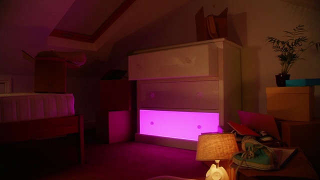 Video Reference: Plant, Purple, Building, Wood, Living room, Comfort, Interior design, Houseplant, Pink, Violet