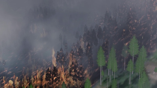 Video Reference: Plant, Cloud, Grass, Landscape, Natural landscape, Sky, Tree, Forest, Cumulus, Grassland