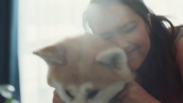 Video Reference: Nose, Cat, Eye, Felidae, Ear, Jaw, Carnivore, Neck, Small to medium-sized cats, Gesture