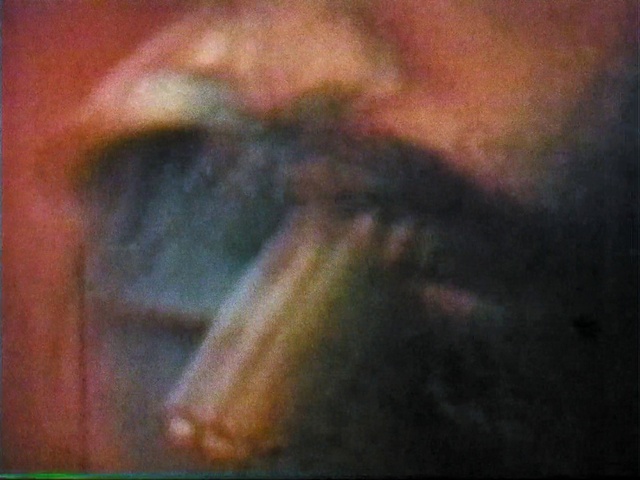 Video Reference: Paint, Wood, Tints and shades, Art, Rectangle, Event, Painting, Visual arts, Landscape, Tree