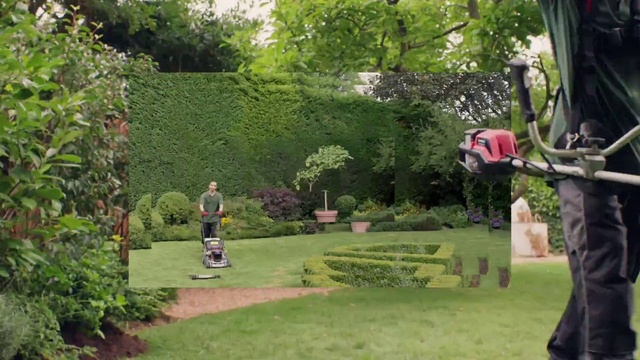 Video Reference: Plant, Green, Tree, Hedge, Leisure, Grass, Biome, Landscape, Woody plant, Shrub