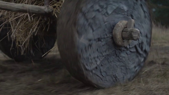 Video Reference: Automotive tire, Plant, Sculpture, Gas, Automotive wheel system, Artifact, Art, Circle, Auto part, Terrestrial animal