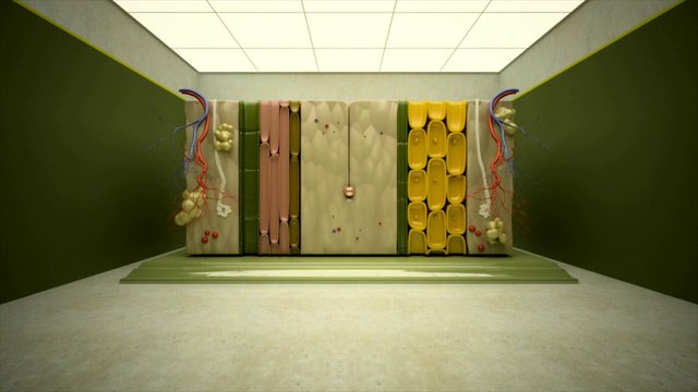 Video Reference: abstract, interior, symmetrical, digital art, render, geometric, installation, green walls, modern, futuristic, minimalist, sculpture, hallway, illuminated, conceptual, art