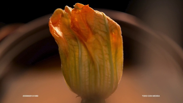 Video Reference: Plant, Flower, Petal, Ingredient, Fast food, Flowering plant, Herbaceous plant, Bud, Produce, Macro photography