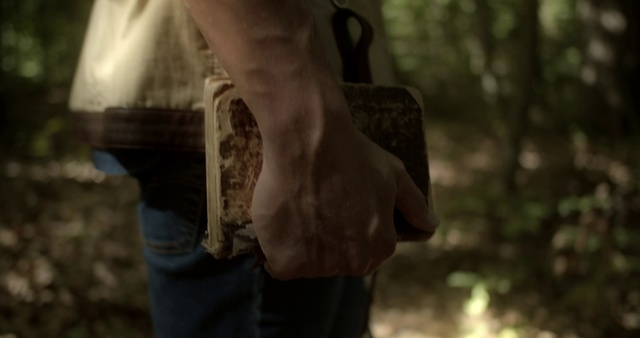 Video Reference: Wood, Gesture, Grey, Flash photography, Grass, Waist, Trunk, Tints and shades, Human leg, Elbow