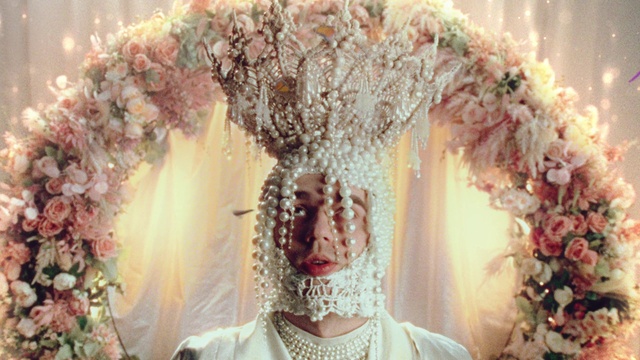 Video Reference: Head, Flower, White, Dress, Happy, Plant, Headgear, Tree, Beauty, Event