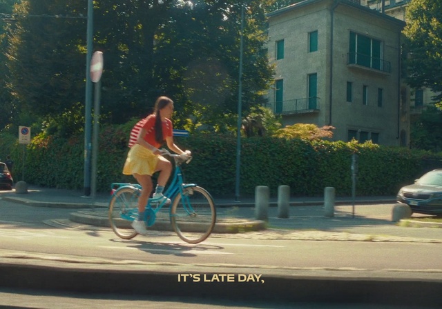 Video Reference: Bicycle, Land vehicle, Bicycles--Equipment and supplies, Plant, Bicycle handlebar, Bicycle frame, Wheel, Bicycle tire, Tire, Bicycle wheel