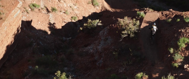 Video Reference: Plant, Bedrock, Organism, Grass, Formation, Wood, Outcrop, Landscape, Groundcover, Erosion