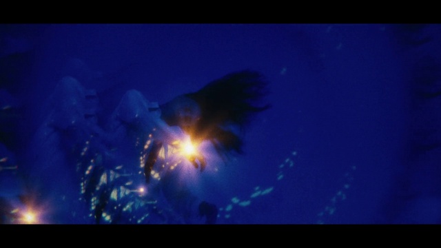 Video Reference: Atmosphere, World, Organism, Astronomical object, People in nature, Lens flare, Sky, Font, Electric blue, Heat