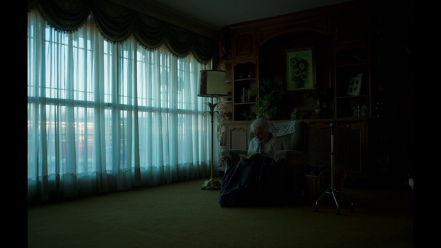 Video Reference: Building, Wood, Window, Plant, House, Picture frame, Flooring, Shade, Tints and shades, Hardwood