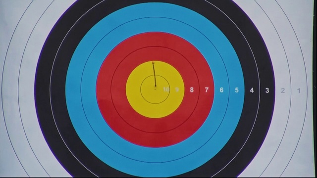 Video Reference: Colorfulness, Outdoor recreation, Recreation, Precision sports, Archery, Target archery, Circle, Pattern, Electric blue, Symmetry