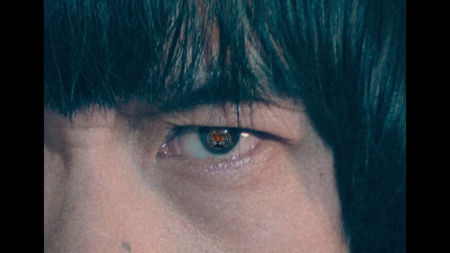 Video Reference: Nose, Eyebrow, Eyelash, Jaw, Iris, Smile, Tints and shades, Electric blue, Close-up, Brown hair