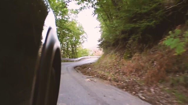 Video Reference: Plant, Automotive tire, Automotive lighting, Road surface, Natural landscape, Asphalt, Wood, Tire, Motor vehicle, Thoroughfare